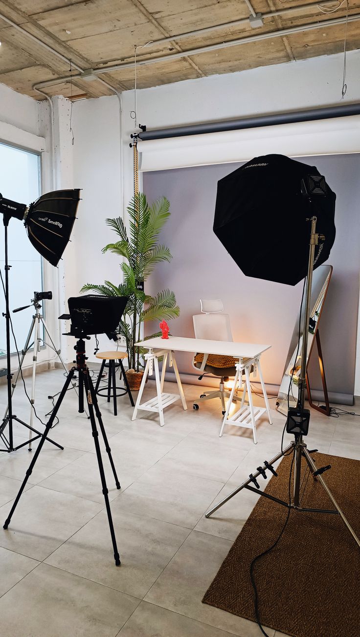 Professional Camera Setup